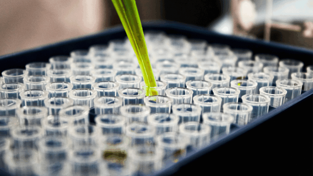 Solution, lab beakers